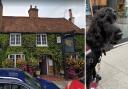 Indian restaurant to investigate why deaf lady’s dog was refused entry