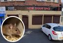 Restaurant shuttered after 'extensive mouse infestation' found