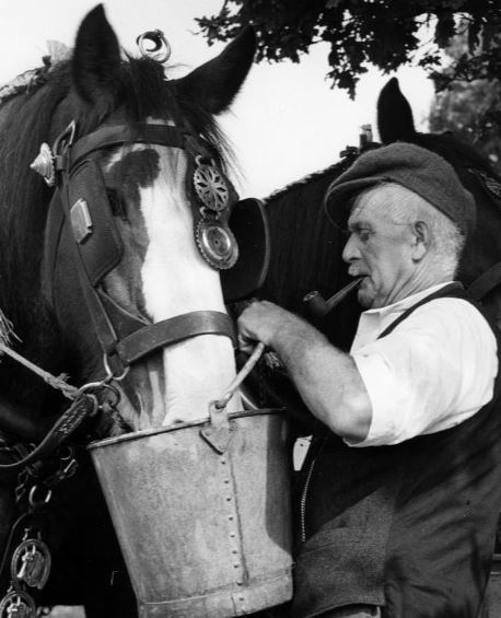 A man and his horse in the 1940s