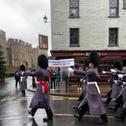 Animal rights group hits out at the kings guards