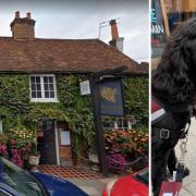 Indian restaurant to investigate why deaf lady’s dog was refused entry