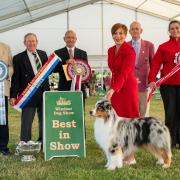 In pictures: Annual dog show returns with thousands of pets set to enter