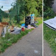 Resident slams 'lazy' flytippers for 'disguting' state of alleyways