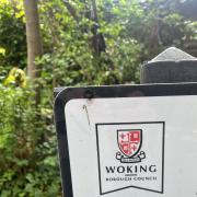 Woking Council
