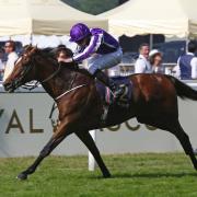 Highland Reel in action at Ascot. Picture: Sue Orpwood.