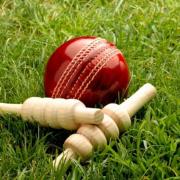 Cricket ball and bat.