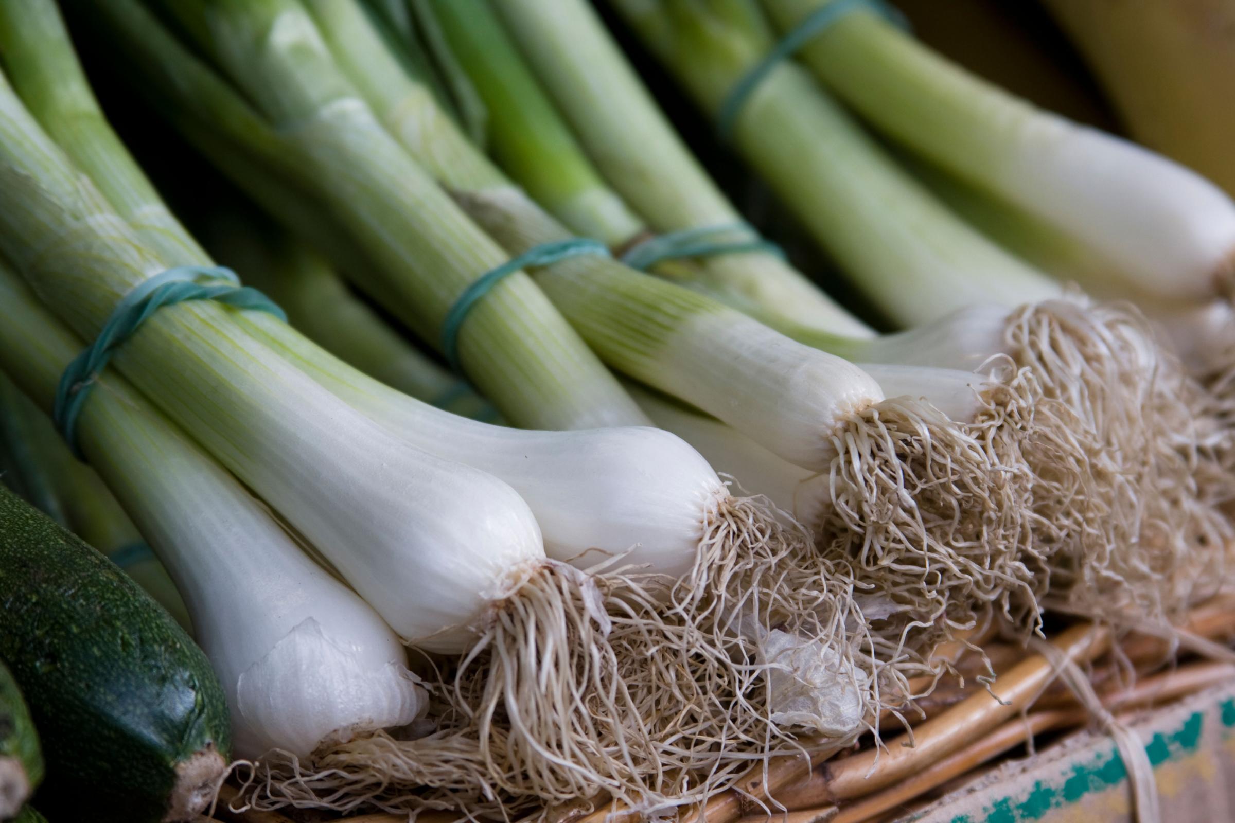 Spring onions grown from home Picture credit: Alamy/PA