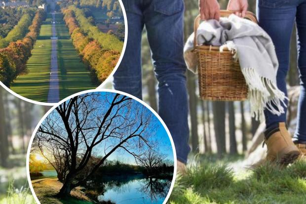 The best places to have a picnic in Berkshire
