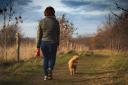 Berkshire dog owners warned as deadly disease found in Maidenhead