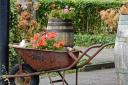 Wheelbarrow flower planter