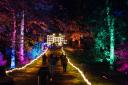 Countdown is on for Windsor Great Park illuminated as new attractions revealed