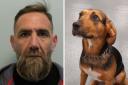 Man JAILED for using rescue dog to smuggle drugs through airport