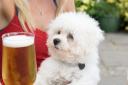 There are lots of dog-friendly pubs in Blackpool - here are five you can enjoy