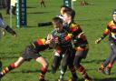 Slough Rugby Club welcomed 650 players from clubs across the region for the Wynford Philips Festival.
