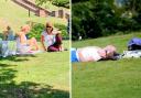 File photos of sunbathers