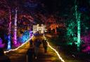 Windsor Great Park Illuminated: When tickets go on sale and how you can get them