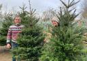 Family run Burnham nursery sells 2,000 trees to locals in the run up to Christmas