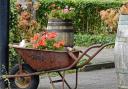 Wheelbarrow flower planter
