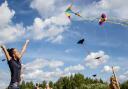 Families enjoying kite flying. Credit: Николай Оберемченко from Pixabay