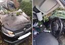 Woman makes lucky escape after falling tree smashes car amid storm
