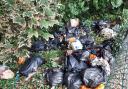 'Ignorance is no excuse': Student fined £360 for flytipping
