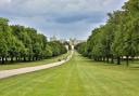5 million tourists visited Windsor Great Park in 2022 making it the most visited tourist attraction in the UK.