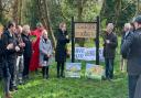 Tina Quadrino, chair of the Maidenhead Great Park campaign and Cllr Simon Werner officially unveiled the new sign naming Desborough Woods