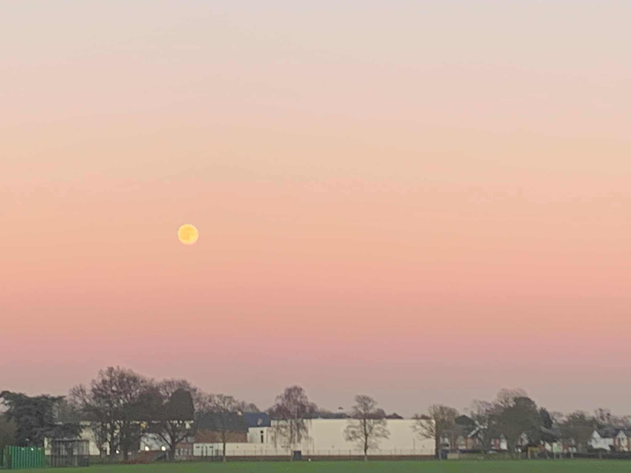 The moon appearing at dusk in Slough (Julia Hallett)