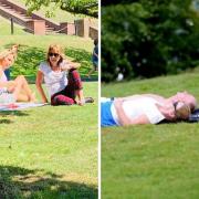 File photos of sunbathers