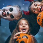 Halloween events near you: From spooktacular trails to dog fancy dress