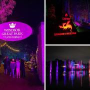 Lights, fairies, action: Windsor Great Park Illuminated launches new light trail