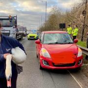 Swan support at the scene of an accident
