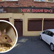 Restaurant shuttered after 'extensive mouse infestation' found