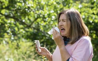 With conditions for sufferers of Hay fever set to worsen, how can you help tame your symptoms?