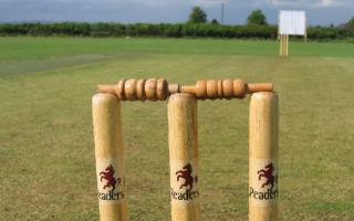 Cricketer given only six-week ban for racism in Berkshire match