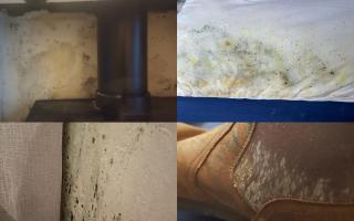 How to take care of damp and mould in your home