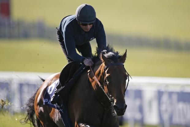 Postponed, here ridden by Andrea Atzeni, has been withdrawn due to injury. Picture: Alan Crowhurst/Getty Images.