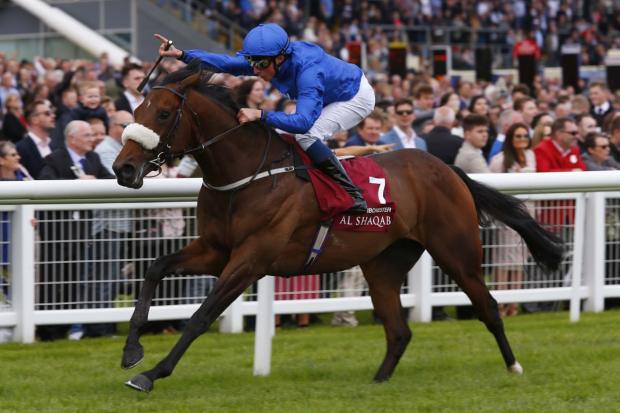 Ribchester is the early favourite for the Queen Anne Stakes. Picture by Sue Orpwood.