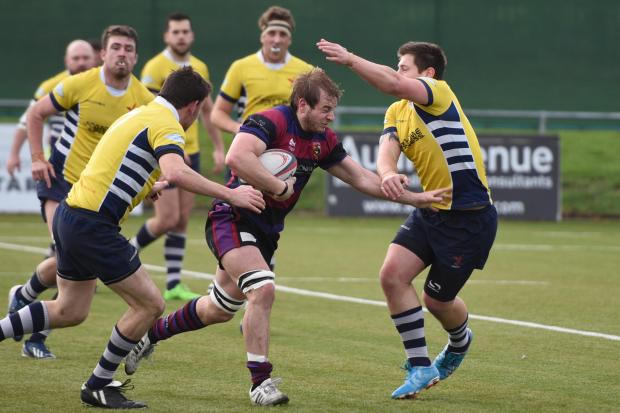 Will Cadden (purple and black) scored two late tries for Maidenhead to secure the losing bonus point on Saturday.
